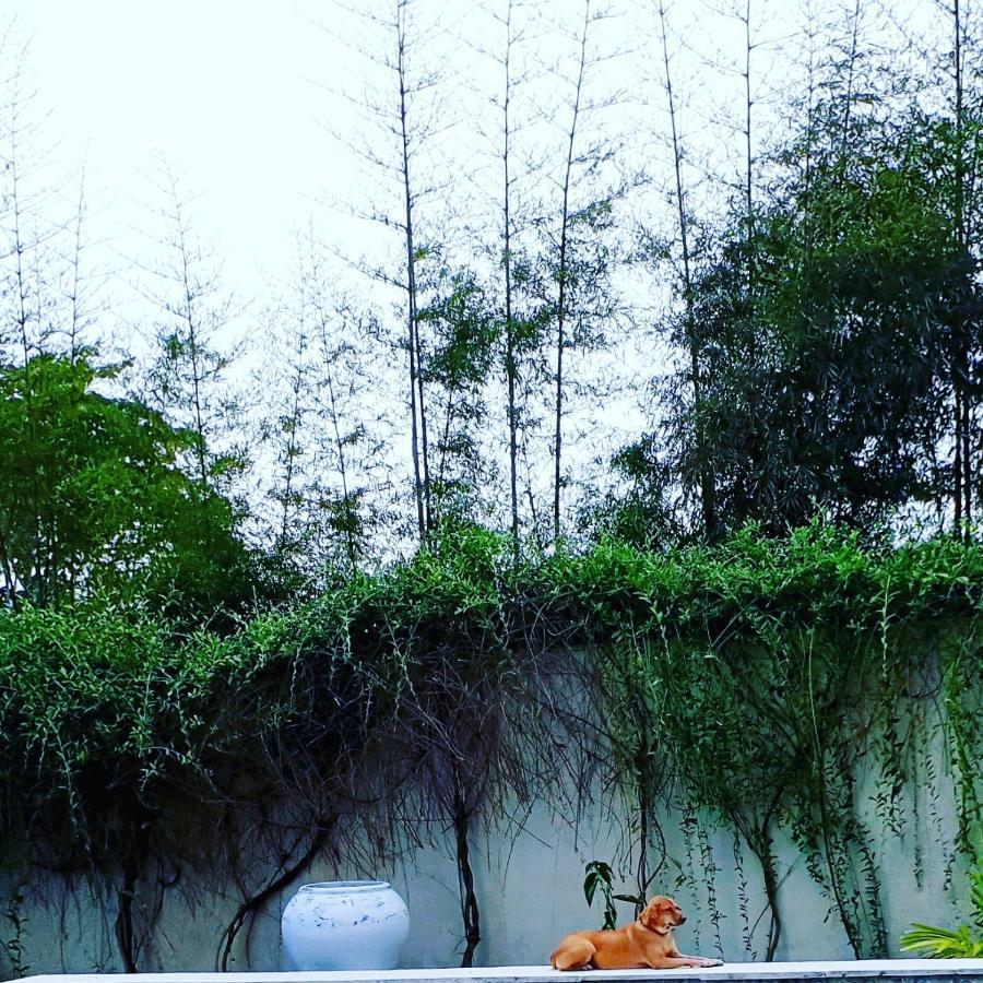 Orchid Villa 18M Pool, Sea View Nusa Lembongan  Exterior photo